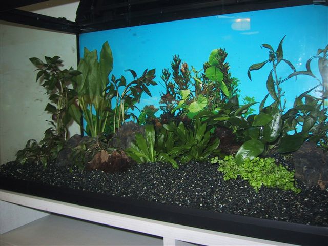 80er-set- aquarium3